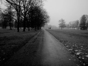De weg naar de witte tent.